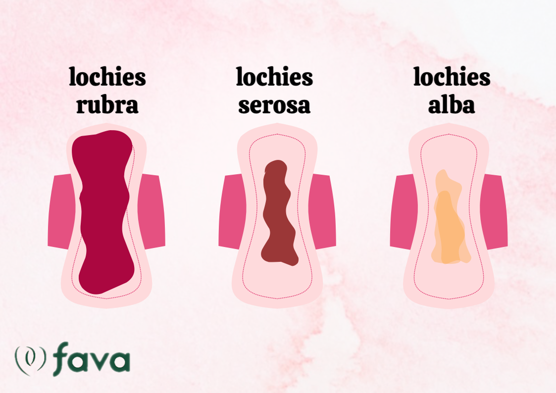Les trois serviettes hygiéniques absorbent les saignements après l'accouchement, c'est-à-dire les lochies rouges, brunes et jaunes.