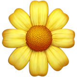 yellow_flower